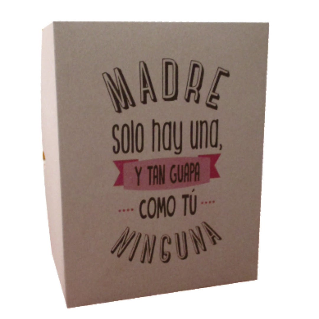 10 Caja Er 06 Mama Kraft Med.25.5x20x6cm