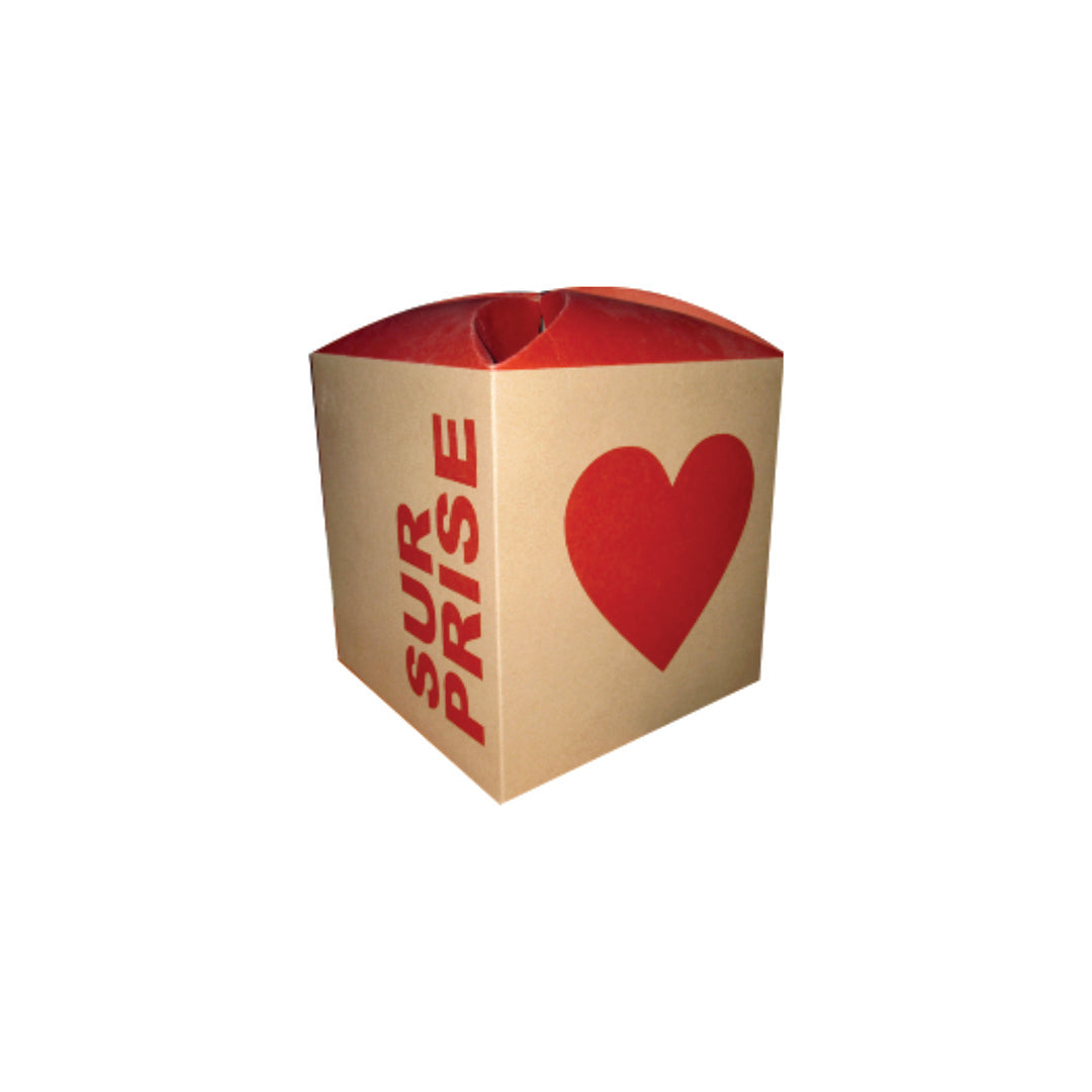 10 Caja Cubo Surprise Med.21x21x21cm