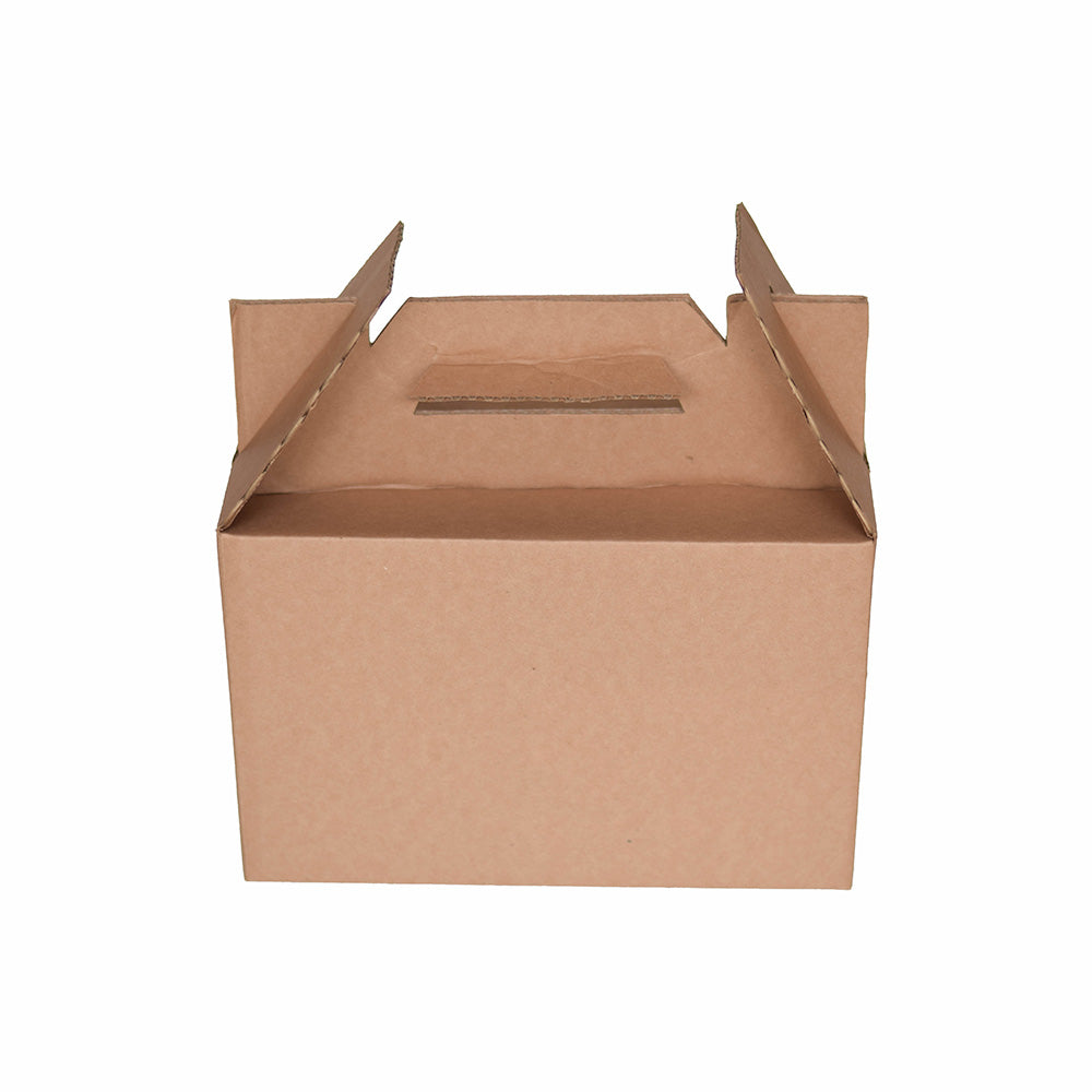 20 Caja Lonchera Mex box Med.30x15x19cm