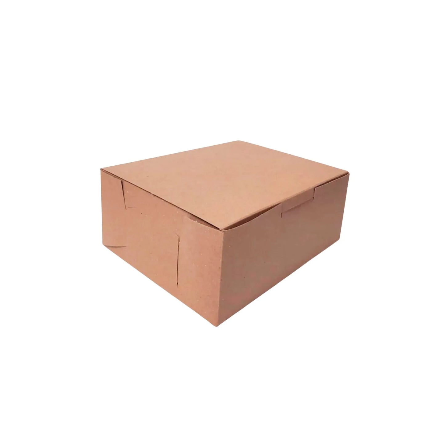caja para ensalada grande B1011