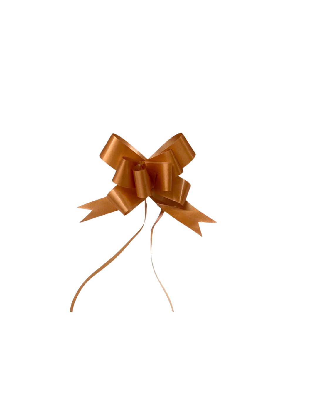 Moños Magico para Regalo