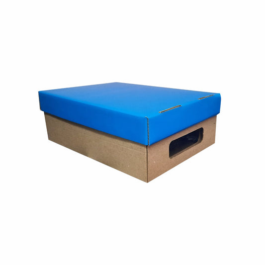 3 Caja Organizadora Chica Med.28X19.5X10cm