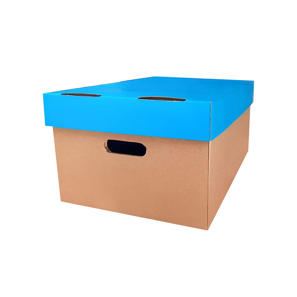 3 Caja Organizadora Chica Med.28X19.5X10cm