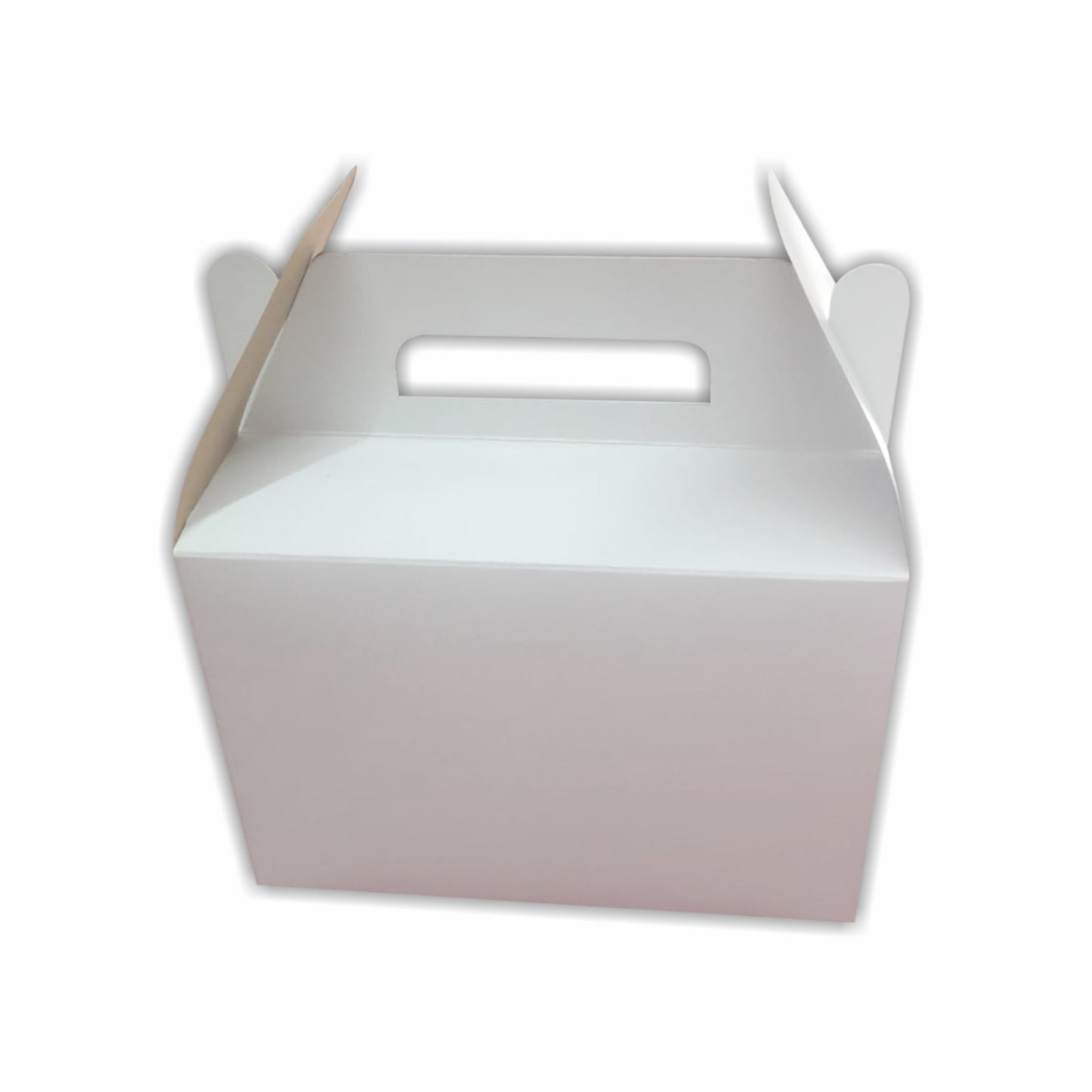 25 Caja para Lonchera