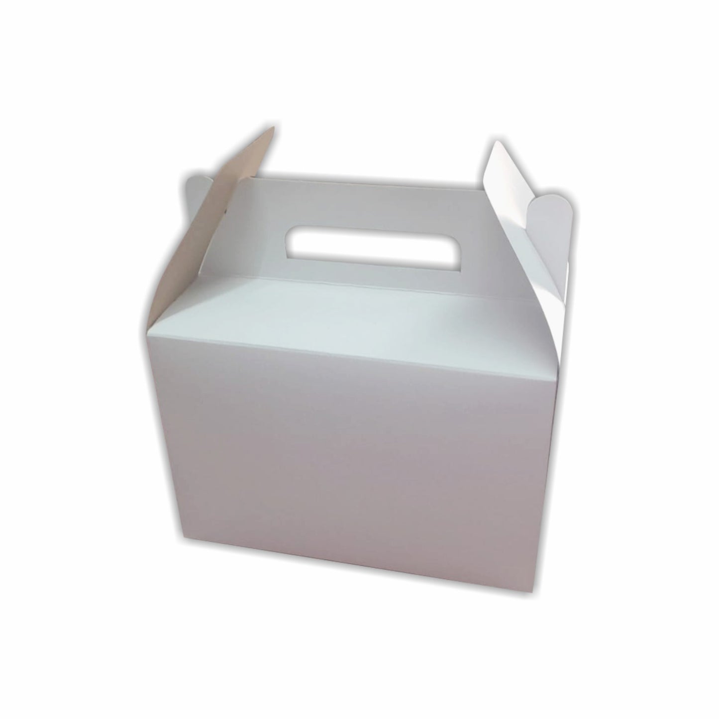 25 Caja para Lonchera