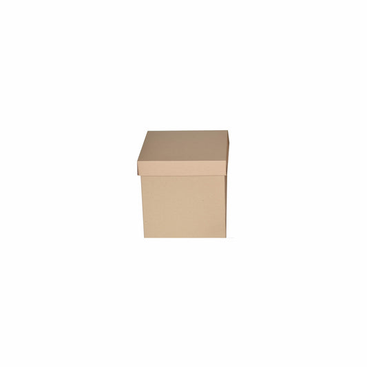 20 Caja Cubo Micro Kraft