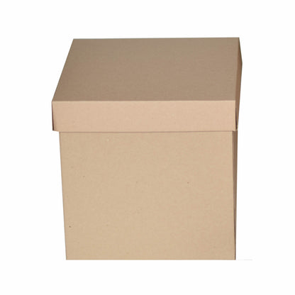 20 Caja Cubo Micro Kraft