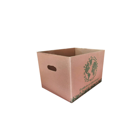 10 Caja Super Ecologica Mini Med.20x15x13.5cm