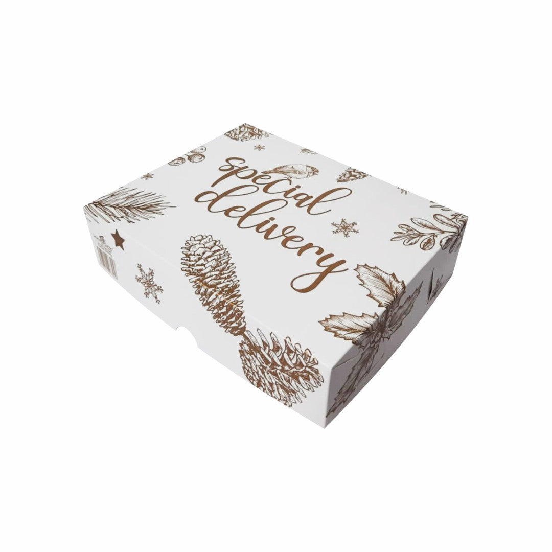 10 Caja Er 06 Navideña Special Delivery Med. 26x20x6.5cm