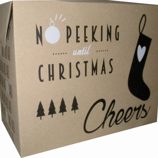 10 Caja Multiusos Navidad Peeking Med. 27x14.5x20cm