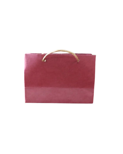 10 Bolsa Kraft Color