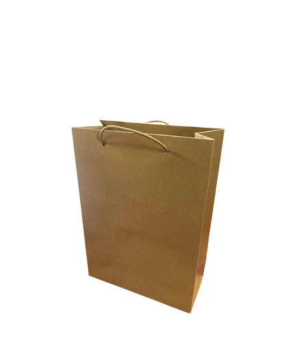 10 Bolsa Kraft Natural