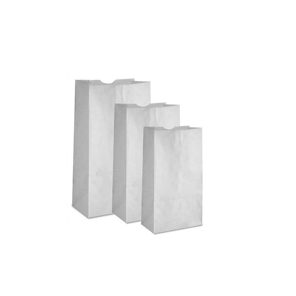 100 Bolsa estrasa # 6 Kraft Med.14.5x9.5x31.5cm