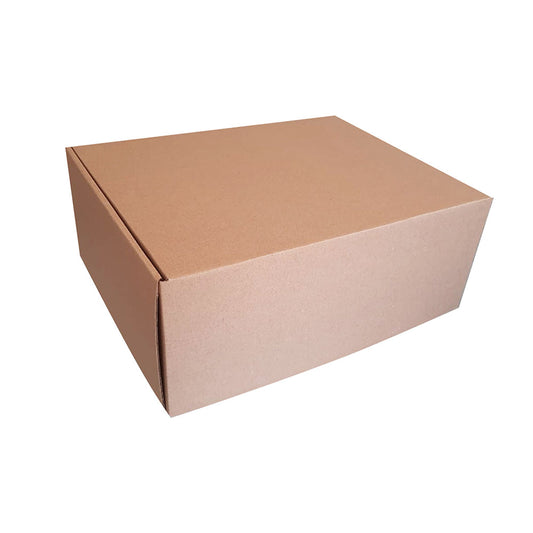 20 Caja Maletín Largo Med.25x20x10cm