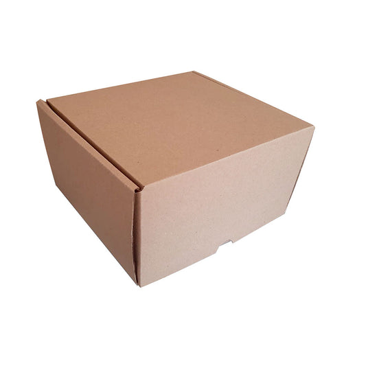 20 Caja Maletín Alto Med.20x20x12cm