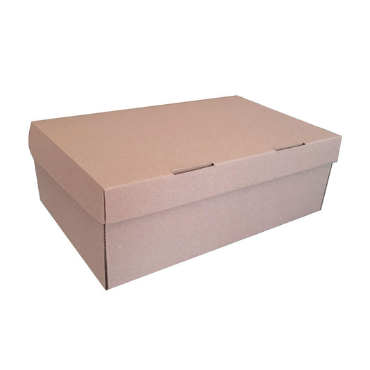 20 Caja Zapato chico Med.28x18x10cm