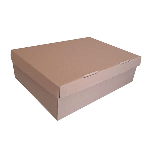 20 Caja para Tenis Med.33x25x10cm