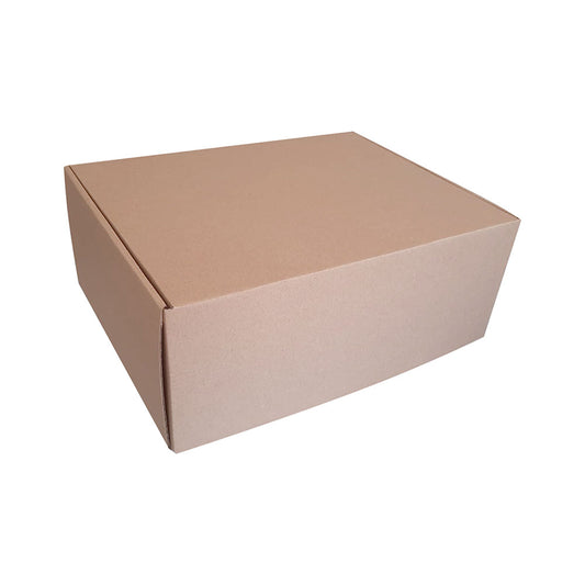 20 Caja Maletín extra Med.30x23x12cm