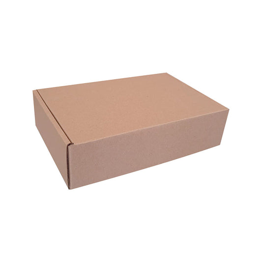 20 Caja tipo Maletín micro Med.23x15x6cm