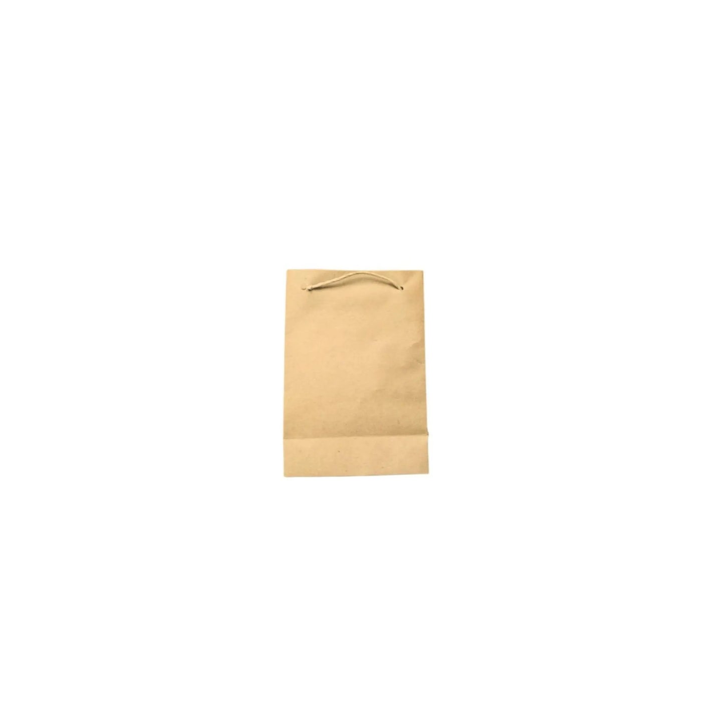 bolsa en Kraft natural chica 6526 vertical 