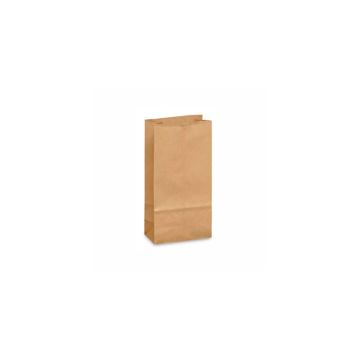 bolsa estraza kraft 6618K