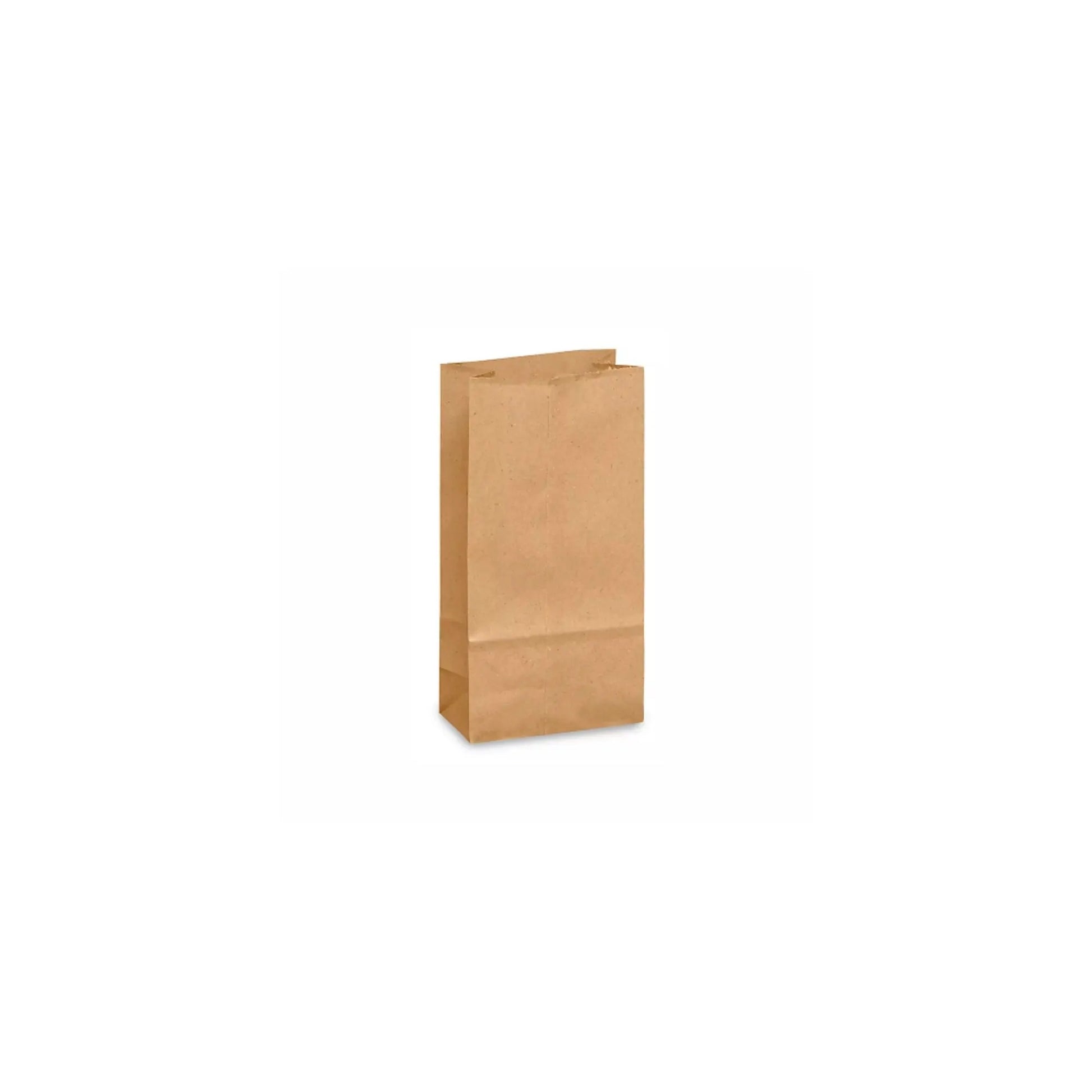 bolsa estraza kraft 6618K