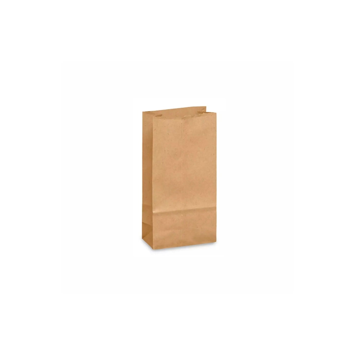 bolsa estraza kraft 6615K