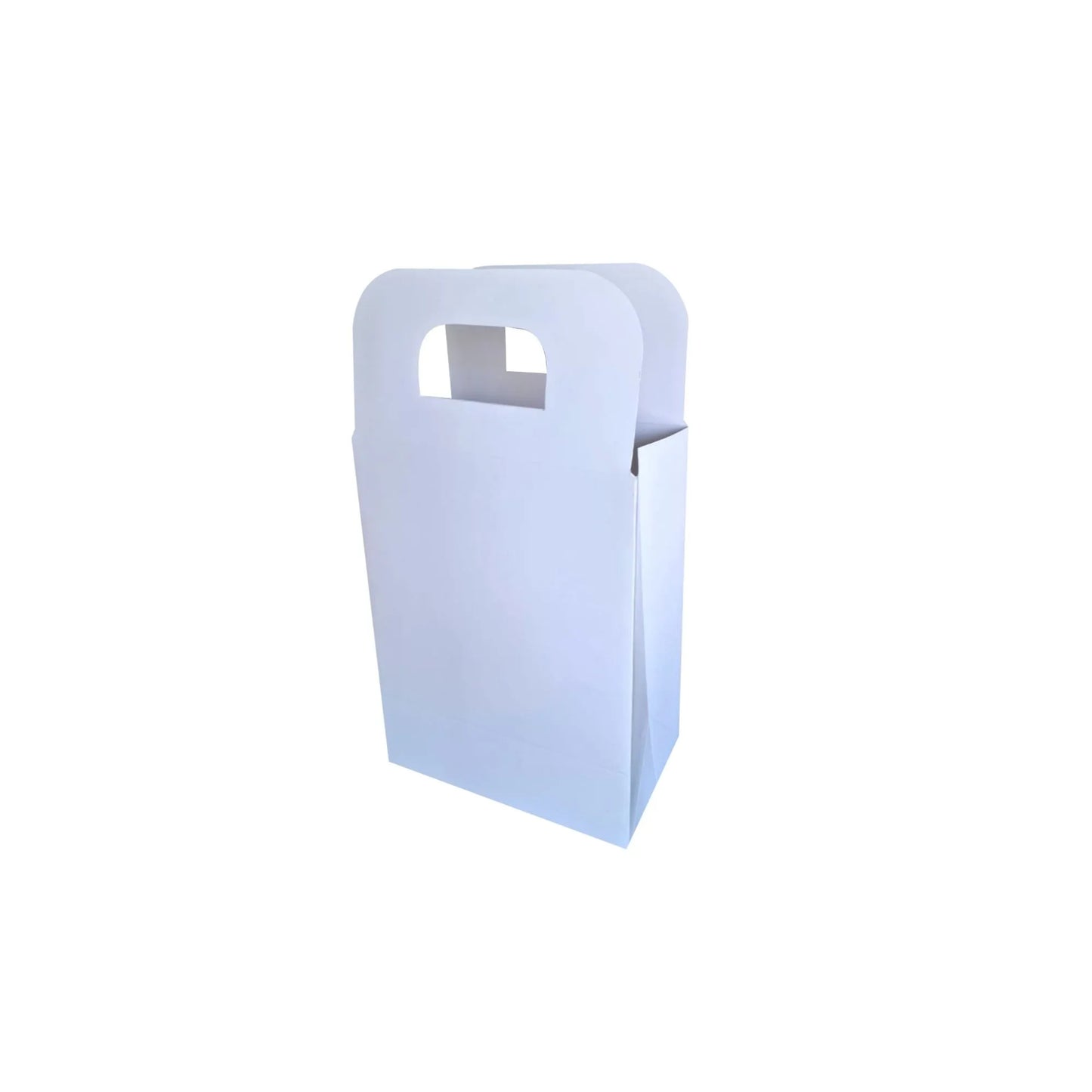 bolsa sulfatada chica 5201
