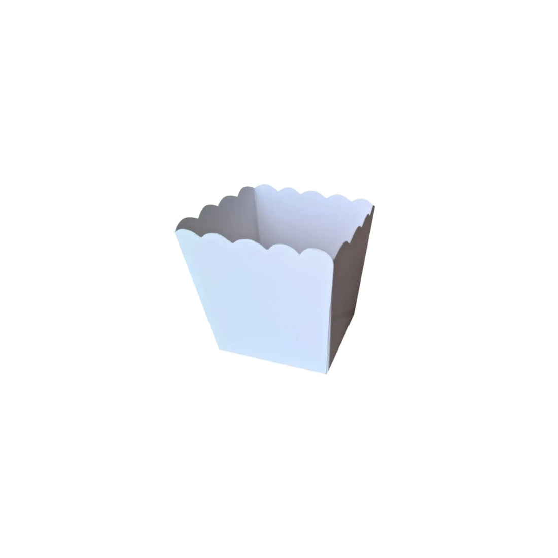 caja contenedor blanca 
