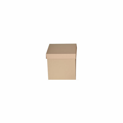Caja Cubo Micro Kraft