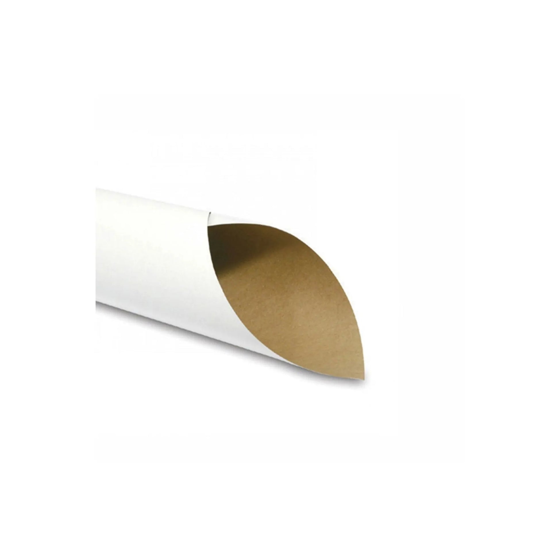 lamina de carton caple 4213