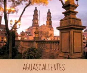 sucursales en aguascalientes 