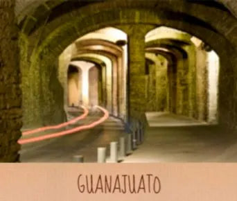 sucursales en guanajuato