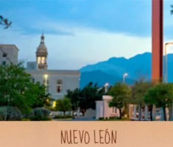 sucursales en nuevo leon