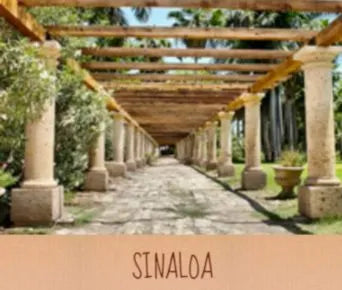 sucursales en sinaloa