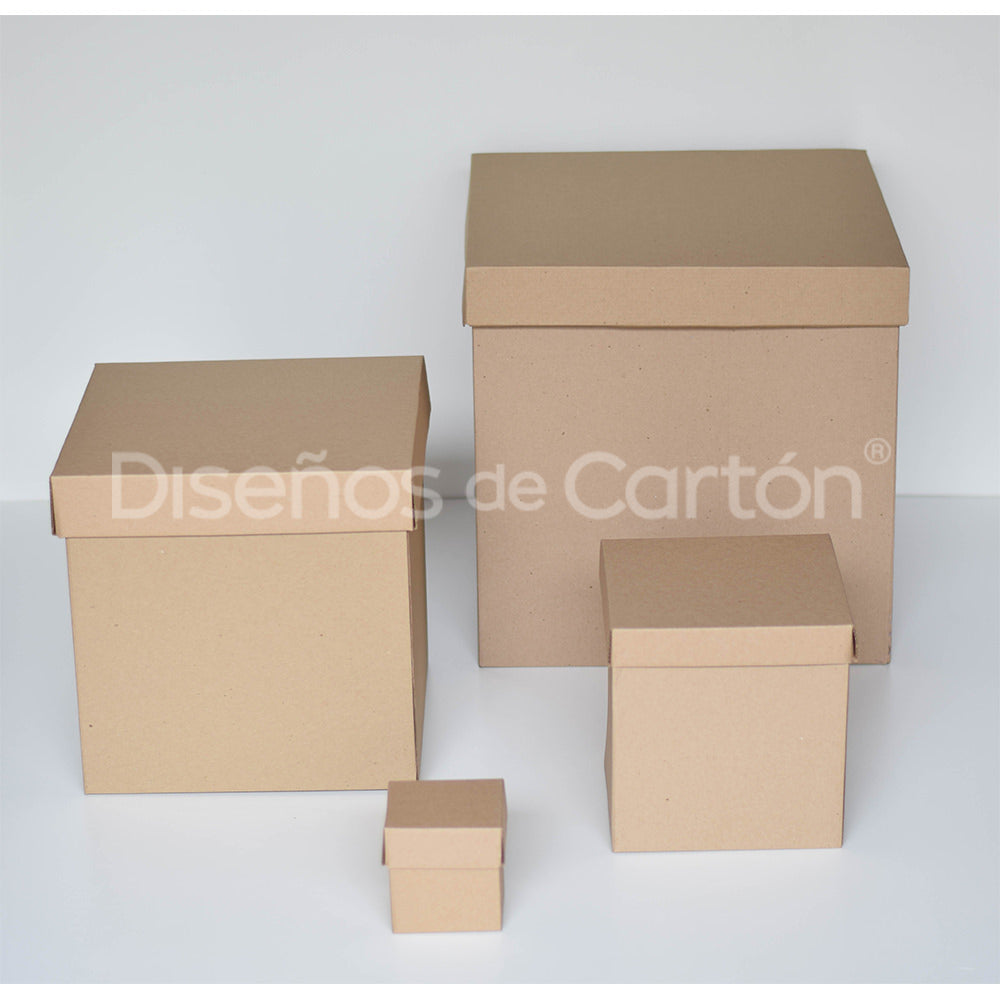 20 Caja Cubo Micro Kraft