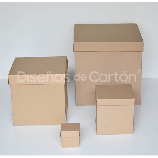 20 Caja Cubo Micro Kraft
