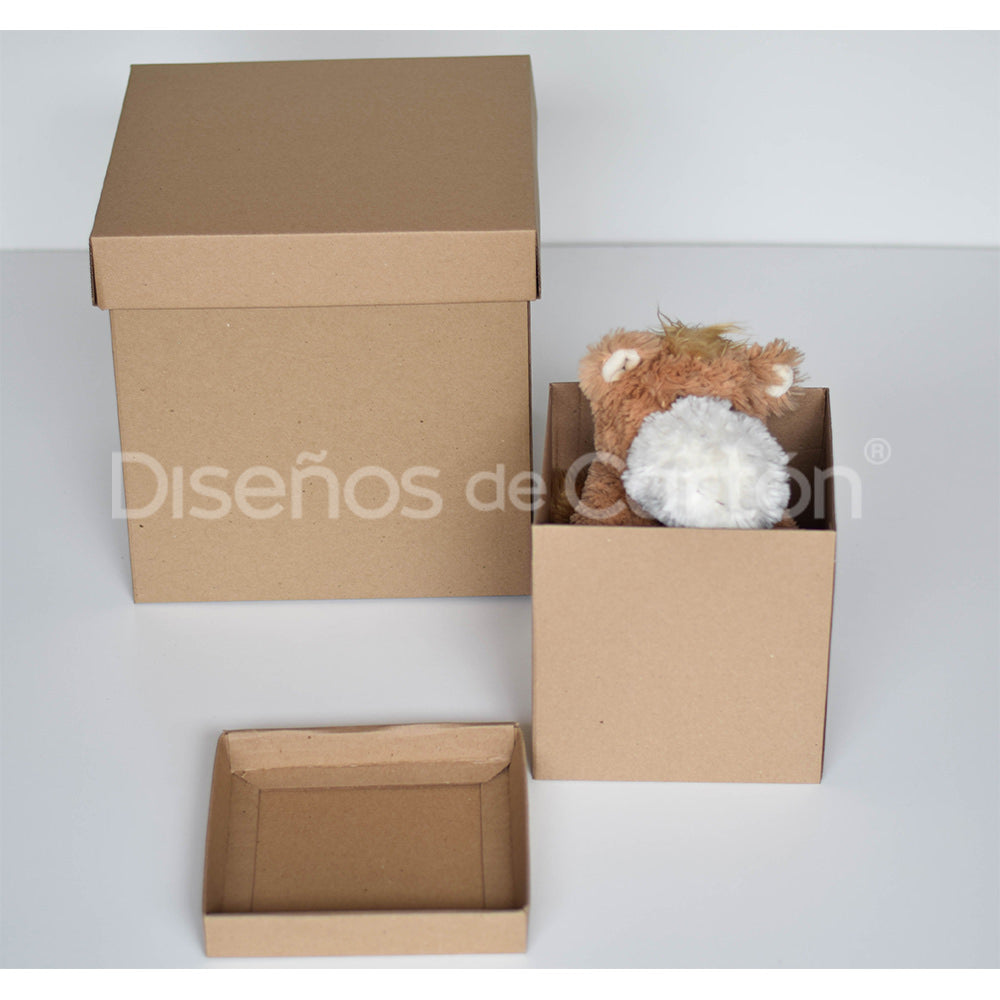 20 Caja Cubo Micro Kraft