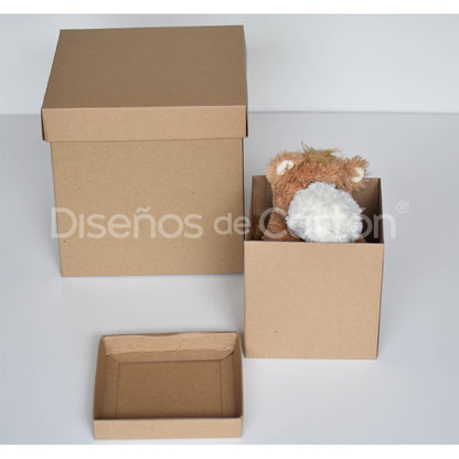 20 Caja Cubo Micro Kraft