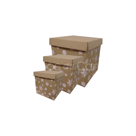10 Caja Cubo Kraft Copos Med.20x20cm